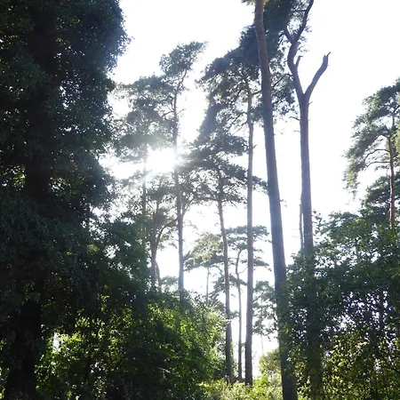 4 Person In Bogense-by Traum Διαμέρισμα *