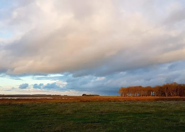 4 Person In Bogense-by Traum