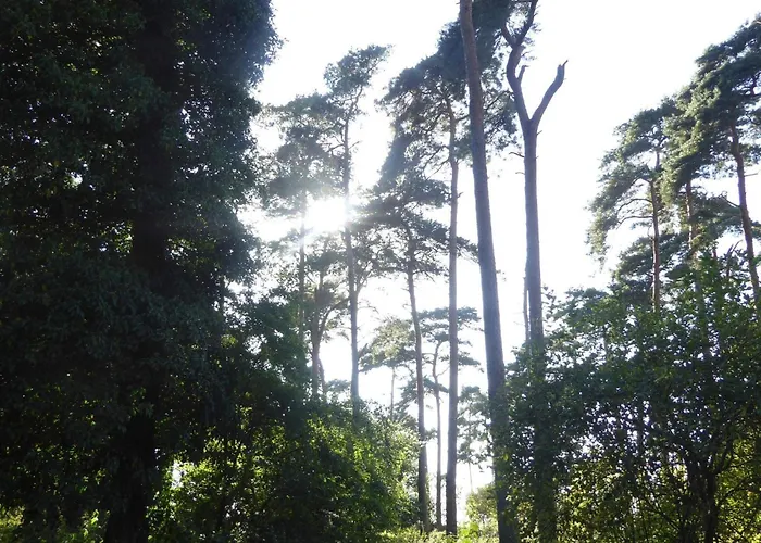 4 Person In Bogense-by Traum Appartement *