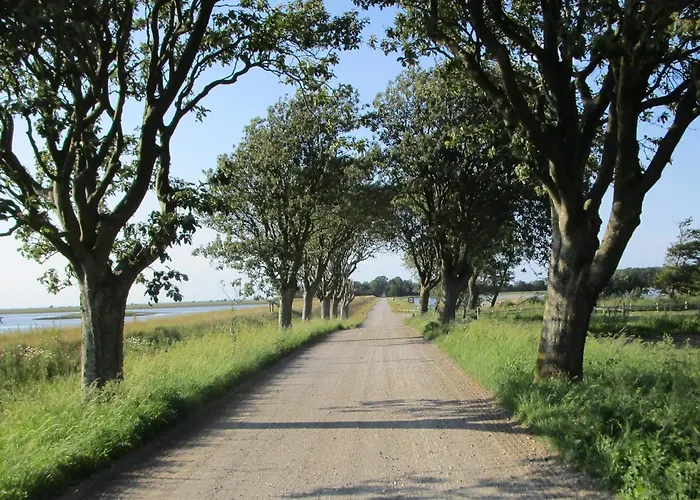 4 Person In Bogense-by Traum Appartement Bogense