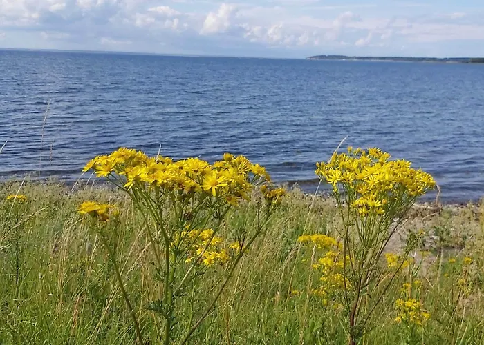 4 Person In Bogense-by Traum Bogense